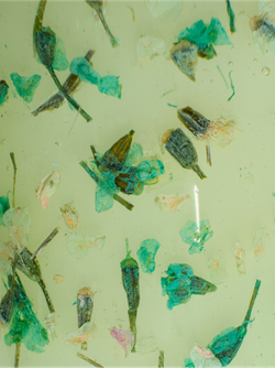 NR BASE Камуфлирующая SAKURA №204, 5гр