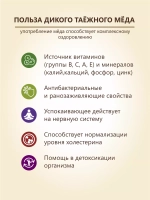 Мёд Дикий Таёжный натуральный 500 г Берестов