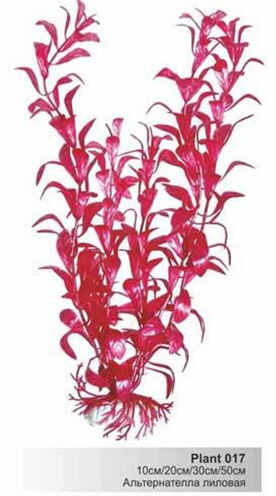 Пластиковое растение Альтернателла лиловая 20см