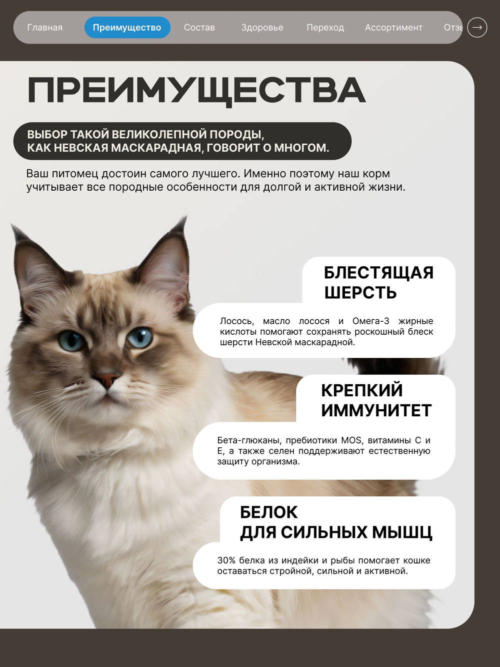 Корм сухой для взрослых кошек породы Невская маскарадная, с лососем, 5 кг, QUATTRO