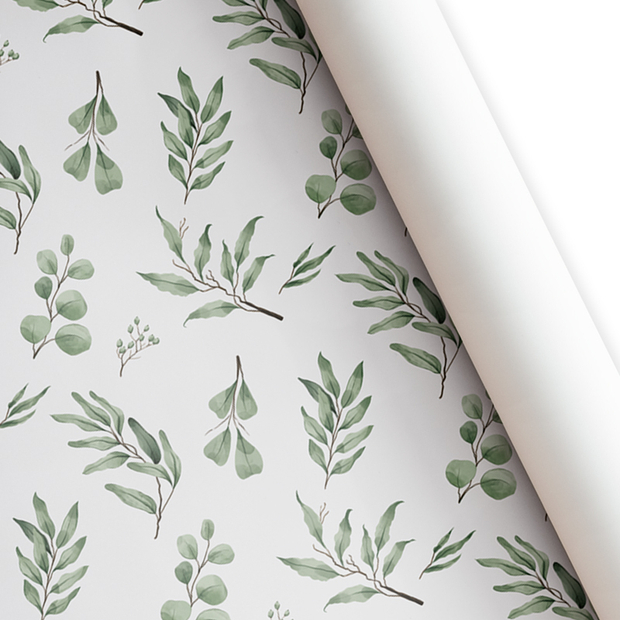 Бумага подарочная "Ботаника" / листы 60х88см