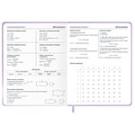 Дневник 1-11 класс 48 л., обложка кожзам (твердая с поролон), 3D-элемент, BRAUBERG, "Суровый кот", 107221