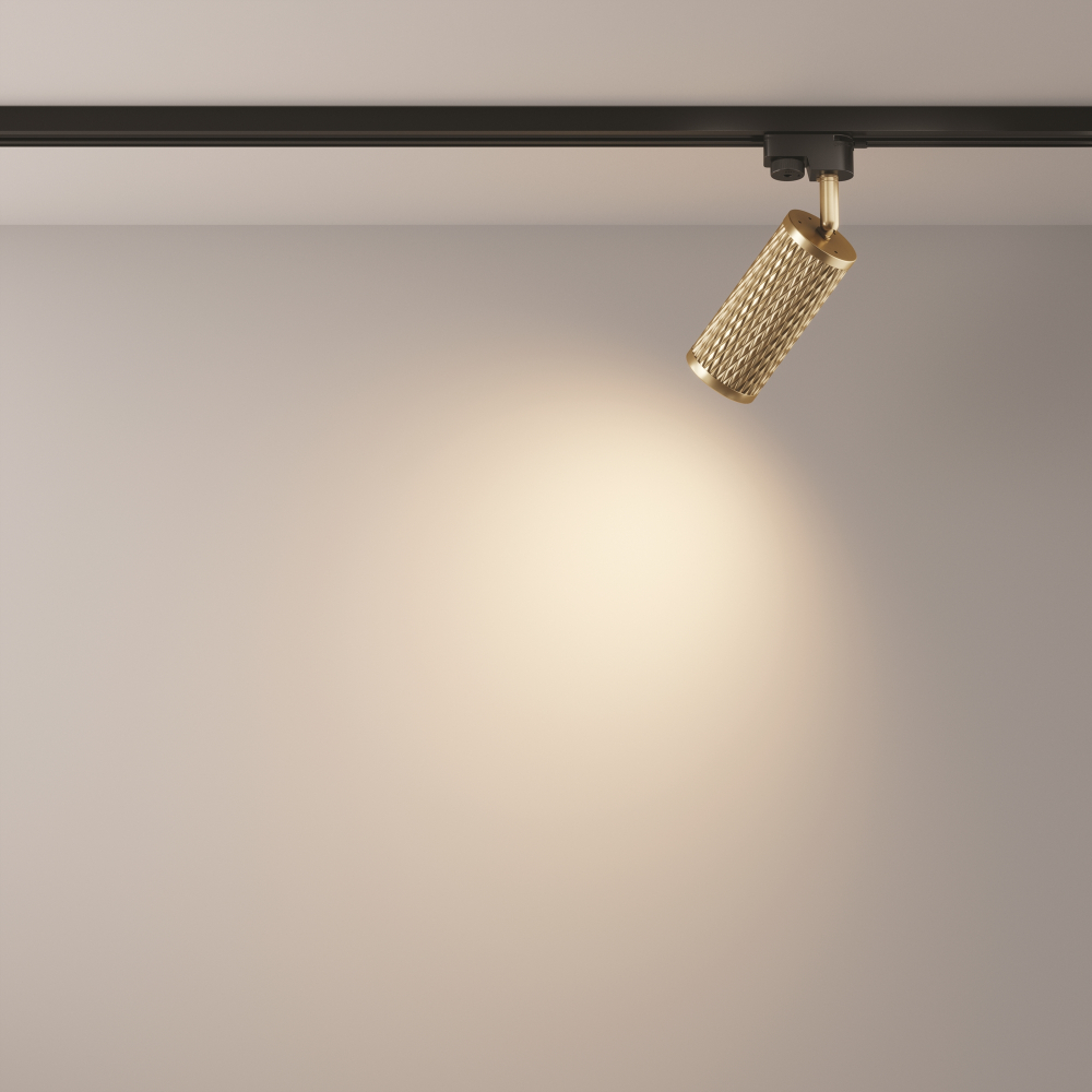 Трековый светильник Maytoni Focus Design TR011-1-GU10-G