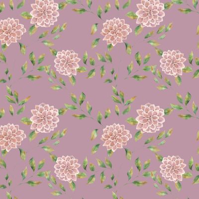 Цветы астры