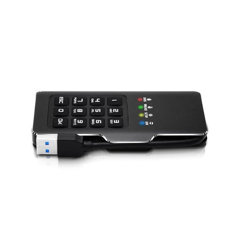 Мини диск DATALOCK PRO М2 512