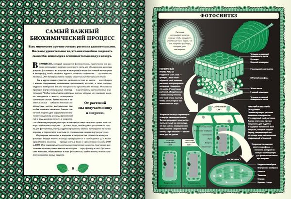 Мир растений