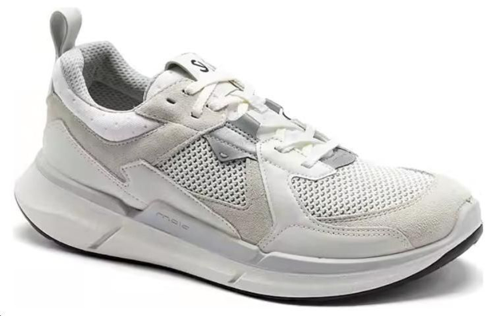 Ecco Biom 2 2