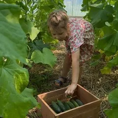 Мизуна красная БИО / 150 гр