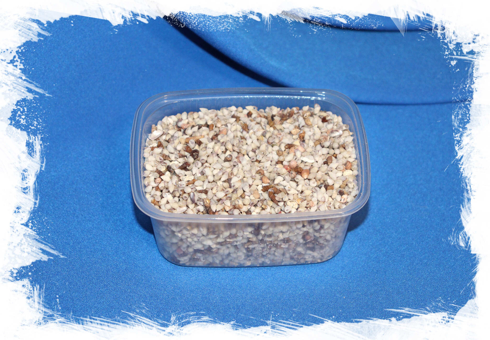 Мелкие морские ракушки для творчества и поделок Купить