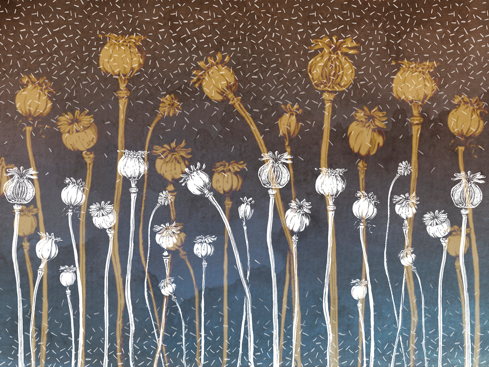 Коллекция ESSENCE