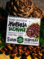 Живица таёжная жвачка 10 по 5 шт