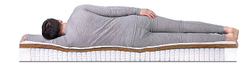Матрас Dreamline Great Comfort Cocos Soft 1000 пружинный 160х190 см
