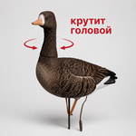 Белолобый гусь Duck Mania "Robot"