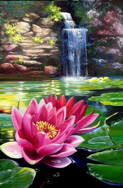 Розовый лотос