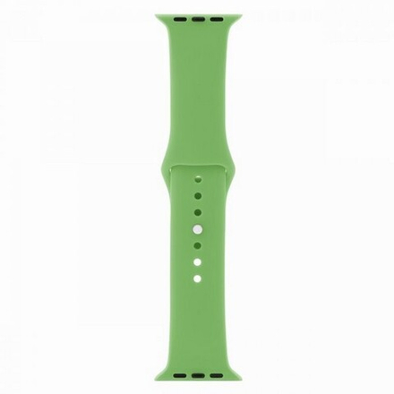 Ремешок для Apple Watch 42/44мм (зеленый)