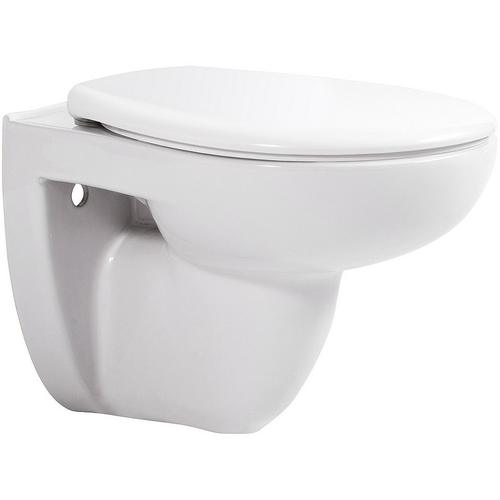 Унитаз Aquatek Каир AQ1170-00 подвесной с сиденьем Микролифт