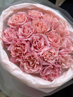 Букет из французких персиковых роз в количестве 15 штук