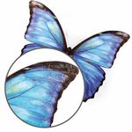 Украшение для окон и стекла ЗОЛОТАЯ СКАЗКА "Бабочки 3", 30х38 см, ПВХ, 591233