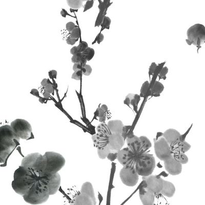 Ветка сакуры чернила