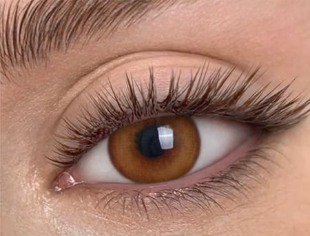 Медовые линзы c окантовкой на 12 мес. Marquise essvase brown/ Натуральные цветные линзы для светлых и темных глаз