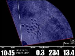 Датчик Humminbird AS 360SSI