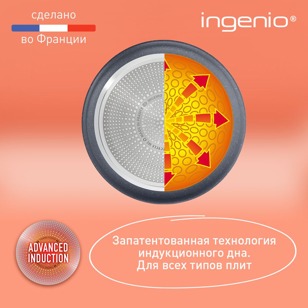 Набор посуды со съемной ручкой Tefal Ingenio Natural Force 5 предметов 16/20/22/28 см L3969053