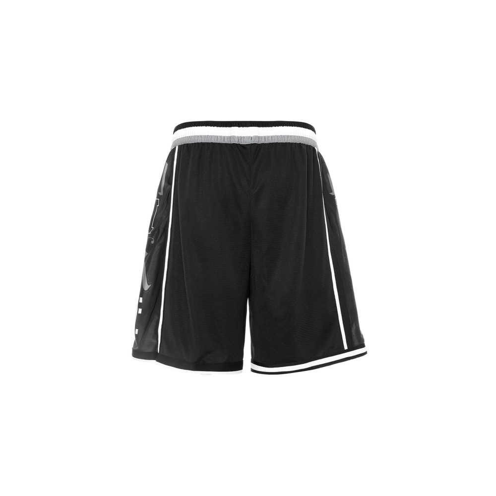 Шорты Nike Dri-FIT Logo, DX0256-010