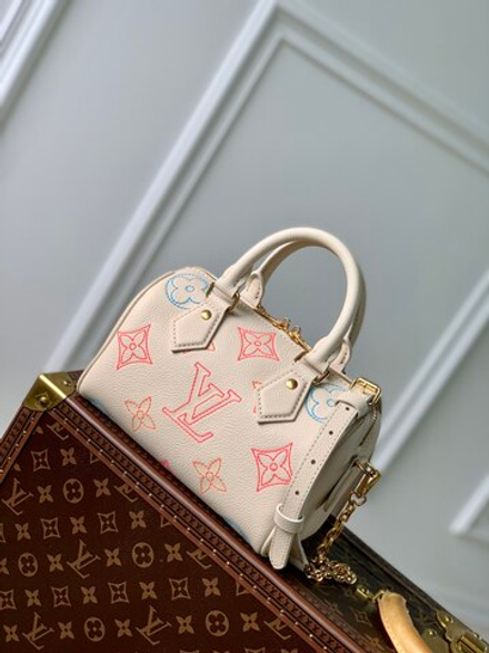 Louis Vuitton Speedy 20