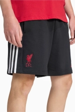 Шорты adidas Liverpool FC 25/26 DNA Tee - черный