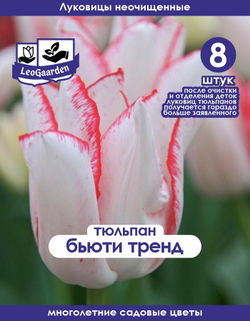 Тюльпан Луковица, Бьюти Тренд, 8+шт