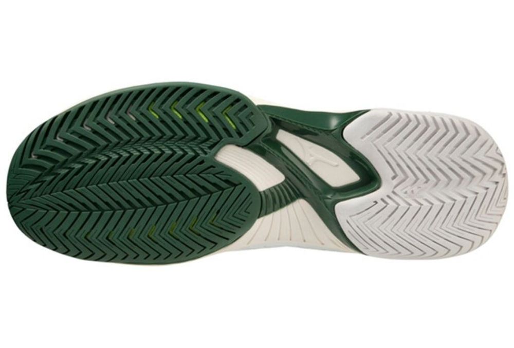 Теннисные кроссовки Mizuno Wave Exceed Tour 5 AC - white/pineneedle/papyrus