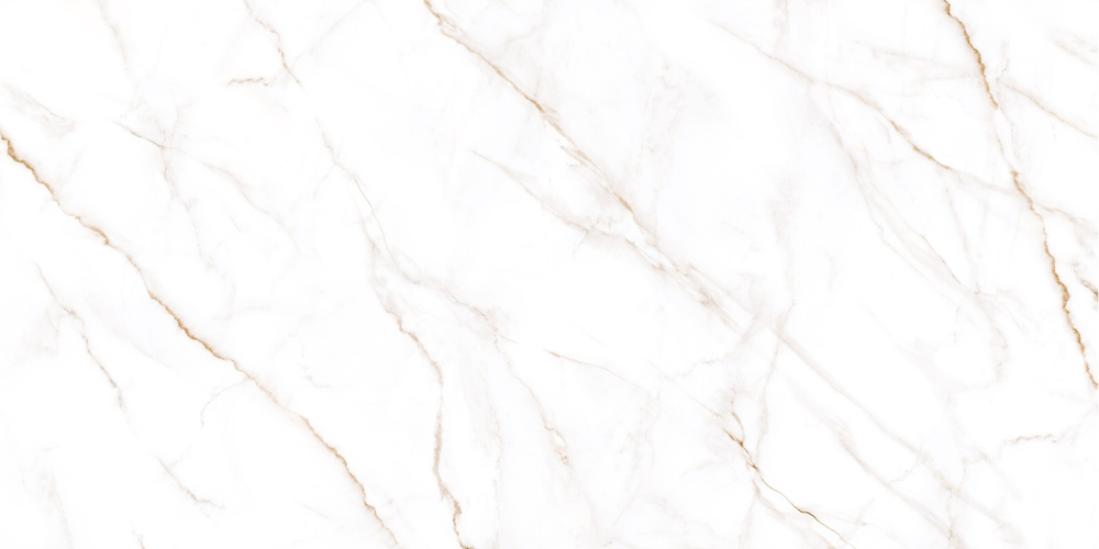 Neo Calacatta GFU60120NCL04R