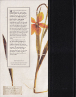 Коллекционирование природы: история гербария и природных экспонатов