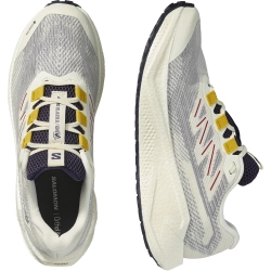 Кроссовки для бега Salomon AERO BLAZE 3 GRVL GORE-TEX Vanilla Ice / Astral Aura / Lemon