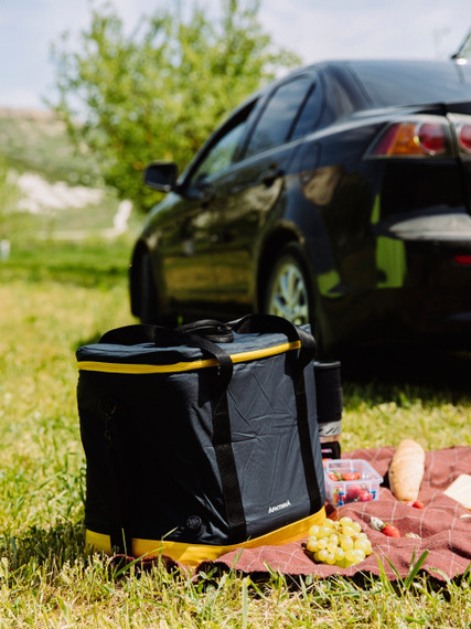 Термо Сумка Холодильник 30л