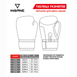 Перчатки боксерские Insane ARES, кожа, 14 oz