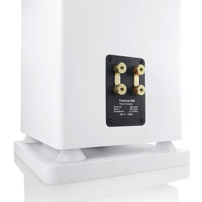 Напольная акустика Canton Townus 100