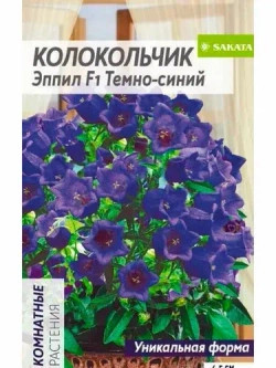 Колокольчик Эппил  комнатные растения