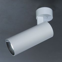 Citilux Тубус CL01B120N LED Светильник накладной поворотный Белый