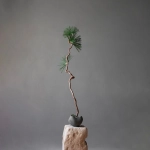 Чаша 101 Copenhagen Curve Bowl, Mini - Dark Grey