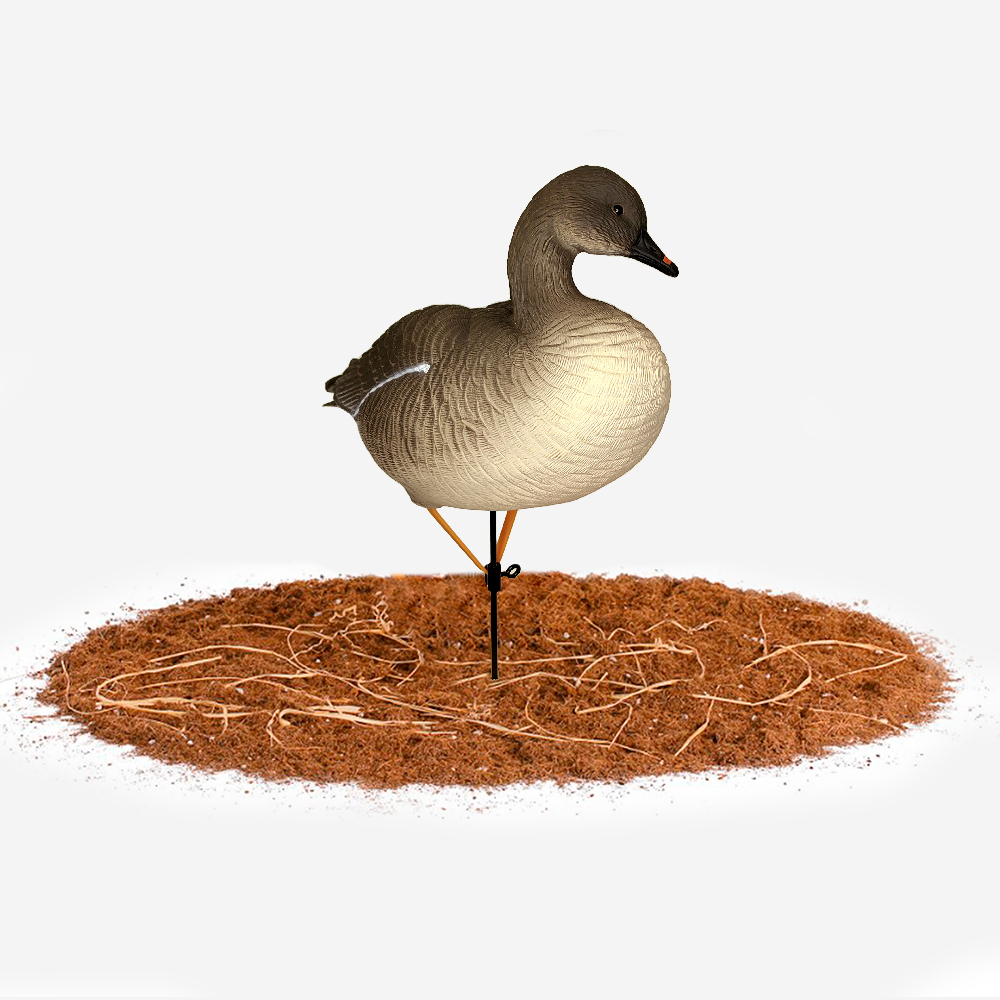 Гусь гуменник Duck Mania "ALFA"