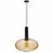 Подвесной светильник Loft IT IRIS 2071-С+BL