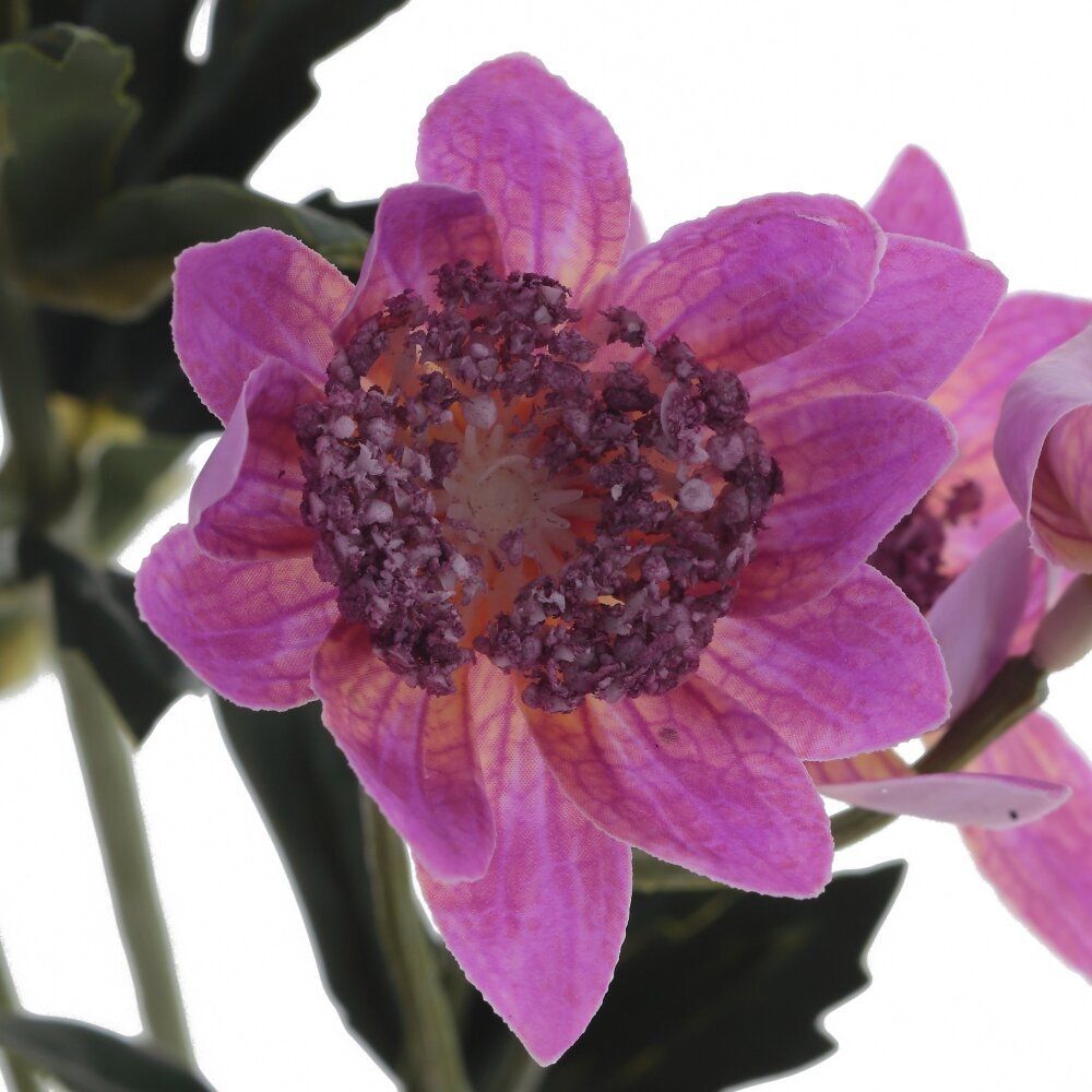 GAEM Цветок искусственный "Хризантема кустовая", L13 W6 H66 см