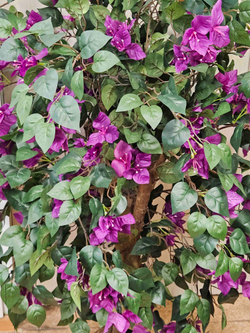 Искусственная Бугенвиллия 110см в кашпо