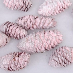 Композиция для декора «Сказочные шишки» 10*10*13 см (120 гр), розовый