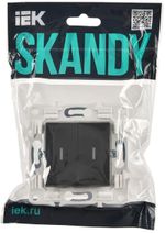 SKANDY Выключатель 2-клавишный с индикацией 10А SK-V09T титан IEK