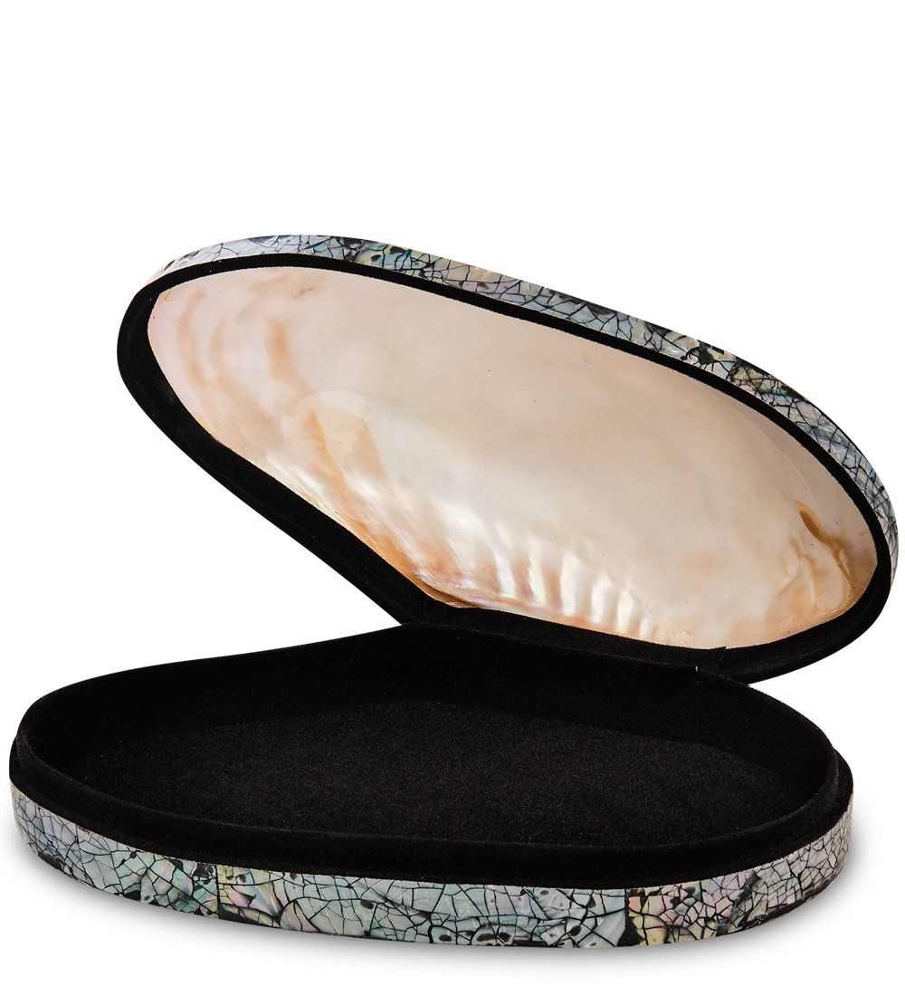 Decor and Gift 54-012 Декоративная шкатулка «Ракушка»