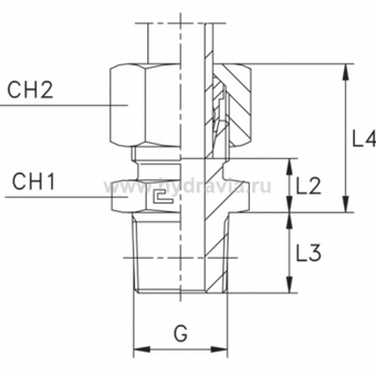 Штуцер FC DS16 BSP 1/2 (в сборе, нерж.)