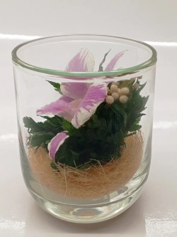 натуральные цветы в стекле, вакуум