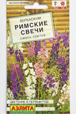 Вербаскум Римские свечи, смесь сортов СМЦ-932